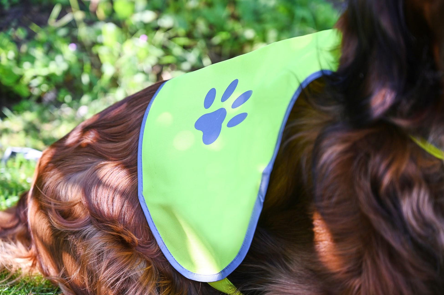 Korntex High Vis Dog Safety Vest - Yellow